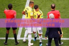 世界杯竞猜的什么软件-深入解析世界杯竞猜，智能软件背后的魅力与乐趣