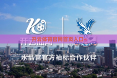 开云体育官网首页入口-