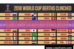 世界杯竞猜彩票怎么看-如何精准解读世界杯竞猜彩票，四步走策略助力您赢在起跑线上