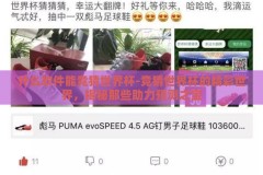 什么软件能竞猜世界杯-竞猜世界杯的精彩世界，揭秘那些助力预测之宝