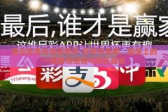 想玩世界杯竞猜知乎-世界杯竞猜，知乎上的一场智慧碰撞与娱乐盛宴