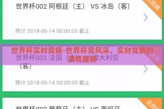 世界杯实时竞猜-世界杯竞风采，实时竞猜的激情盛宴