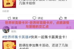 世界杯竞猜卡片-世界杯竞猜卡片，点燃激情与策略的交汇点