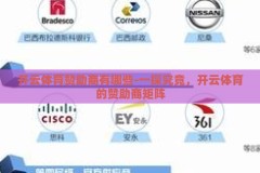 开云体育赞助商有哪些-一探究竟，开云体育的赞助商矩阵