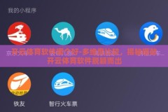 开云体育软件哪个好-多维度比较，揭秘哪款开云体育软件脱颖而出