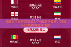 卡塔尔世界杯竞猜app-卡塔尔世界杯，竞猜APP的兴与智慧博弈
