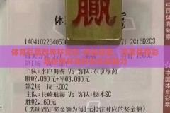 体育彩票世界杯竞彩-跨越绿茵，探索体育彩票世界杯竞彩的无限魅力