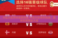卡塔尔世界杯竞猜网站-卡塔尔世界杯热潮，趣味竞猜网站大观
