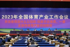 开云体育是什么公司啊-探索开云体育，一家全球性体育产业的创新者