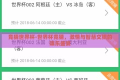竞猜世界杯-世界杯竞猜，激情与智慧交织的娱乐盛宴