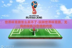世界杯竞猜怎么买不了-玩转世界杯竞猜，无畏的探索与合理的约束