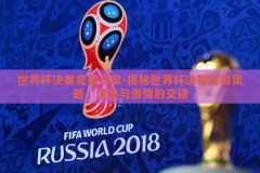 世界杯决赛竞猜方案-揭秘世界杯决赛竞猜策略，理性与激情的交锋