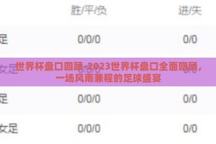 世界杯盘口回顾-2023世界杯盘口全面回顾，一场风雨兼程的足球盛宴