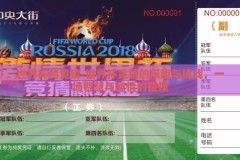 世界杯的竞猜-世界杯竞猜的乐趣与挑战，一场智慧与激情的碰撞