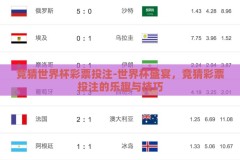 竞猜世界杯彩票投注-世界杯盛宴，竞猜彩票投注的乐趣与技巧