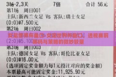 女足世界杯盘口-女足世界杯盘口，透视赛前筹码与策略的微妙较量