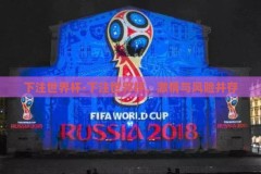 下注世界杯-下注世界杯，激情与风险并存