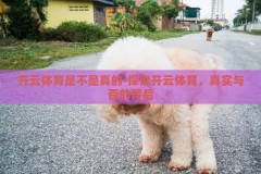 开云体育是不是真的-探索开云体育，真实与否的背后