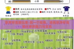 世界杯竞猜比率-另一个视角，透视世界杯竞猜比率的魅力与玄机