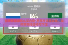 世界杯竞猜怎么买合理-世界杯竞猜攻略，如何精明地选择与下注