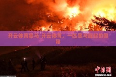 开云体育黑马-开云体育，一匹黑马崛起的奥秘