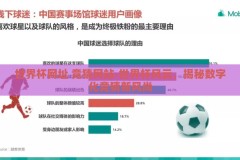 世界杯网址 竞猜网站-世界杯风云，揭秘数字化竞猜新风尚
