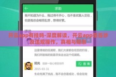开云app有挂吗-深度解读，开云app是否涉及违规操作，真相与隐患