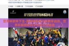 世界杯软件下注-激发感官魅力的数字战场，世界杯期间软件平台的下注体验