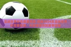 足球世界杯在哪里竞猜-揭秘2024年足球世界杯竞猜热潮，从球迷期待到赛事探秘