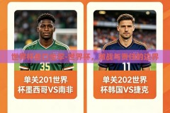 世界杯盘口坐牢-世界杯，激战与责任的边界