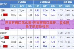 世界杯盘口怎么看-世界杯盘口解析，专业视角下的胜负预测