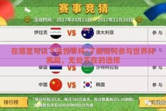 在哪里可以下注世界杯-了解如何参与世界杯赛局，无处不在的选择