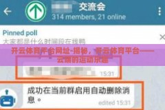 开云体育平台网址-揭秘，开云体育平台——云端的运动乐趣