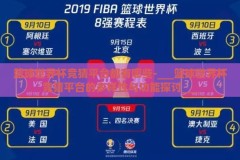 篮球世界杯竞猜平台都有哪些-___篮球世界杯竞猜平台的多样性与功能探讨___