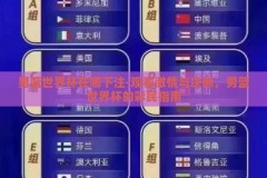 男篮世界杯在哪下注-观看激情与决断，男篮世界杯的彩民指南