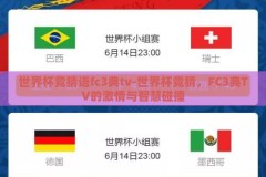 世界杯竞猜语fc3典tv-世界杯竞猜，FC3典TV的激情与智慧碰撞