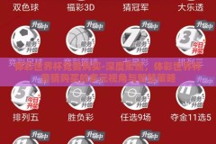 体彩世界杯竞猜购买-深度聚焦，体彩世界杯竞猜购买的多元视角与智慧策略