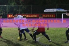 头条世界杯竞猜入口-揭秘头条世界杯竞猜，精彩纷呈的体育盛宴