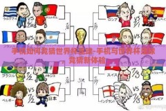 手机如何竞猜世界杯足球-手机与世界杯足球，竞猜新体验