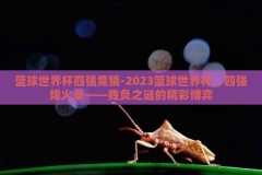 篮球世界杯四强竞猜-2023篮球世界杯，四强烽火录——胜负之谜的精彩博弈