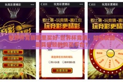 世界杯竞猜哪里买好-世界杯竞猜，如何发掘最具信赖的购买平台？