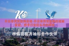 开云体育赞助商是谁-开云体育赞助商的璀璨星图，携手行业巨头共创辉煌