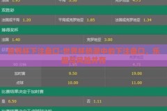 世界杯下注盘口-世界杯热潮中的下注盘口，乐趣与风险并存