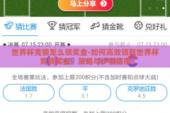 世界杯竞猜怎么领奖金-如何高效领取世界杯竞猜奖金，策略与步骤指南