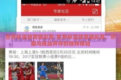 世界杯足球竞猜彩票-世界杯足球竞猜彩票，乐趣与挑战并存的独特体验