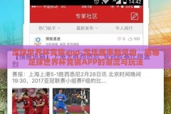 足球世界杯竞猜app-足坛盛事新风尚，揭秘足球世界杯竞猜APP的潮流与玩法