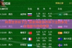 网易世界杯下注-探索网易世界杯下注的多元化体验与风险考量