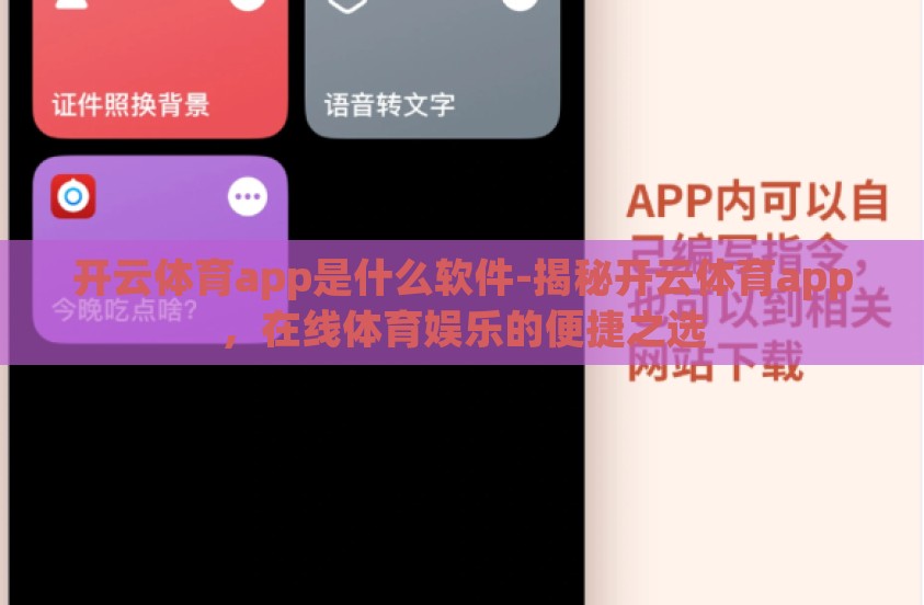 开云体育app是什么软件-揭秘开云体育app，在线体育娱乐的便捷之选