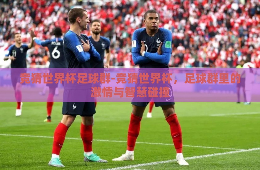 竞猜世界杯足球群-竞猜世界杯，足球群里的激情与智慧碰撞