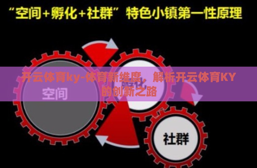 开云体育ky-体育新维度，解析开云体育KY的创新之路
